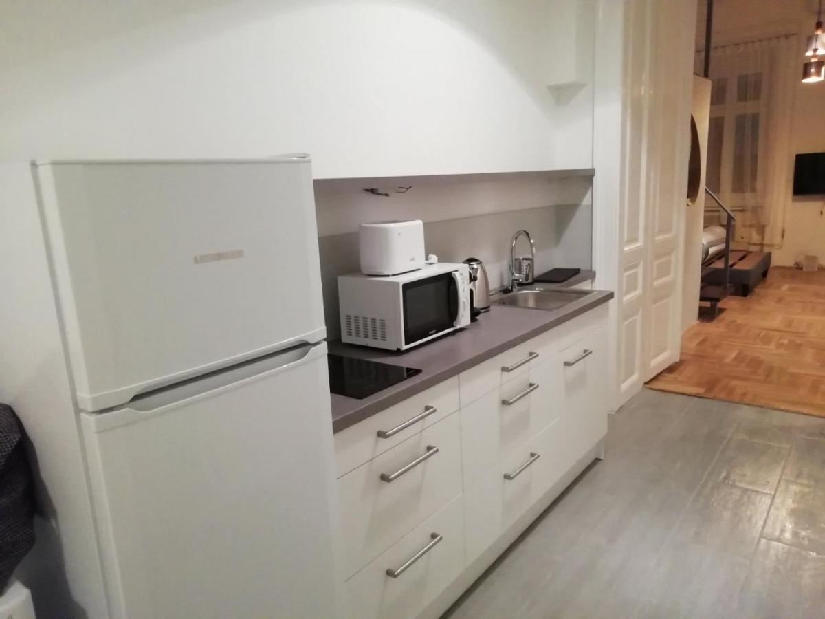 Luxury New Apartment With Gallery At Dob Street Nearby Gozsdu Court 布达佩斯 外观 照片